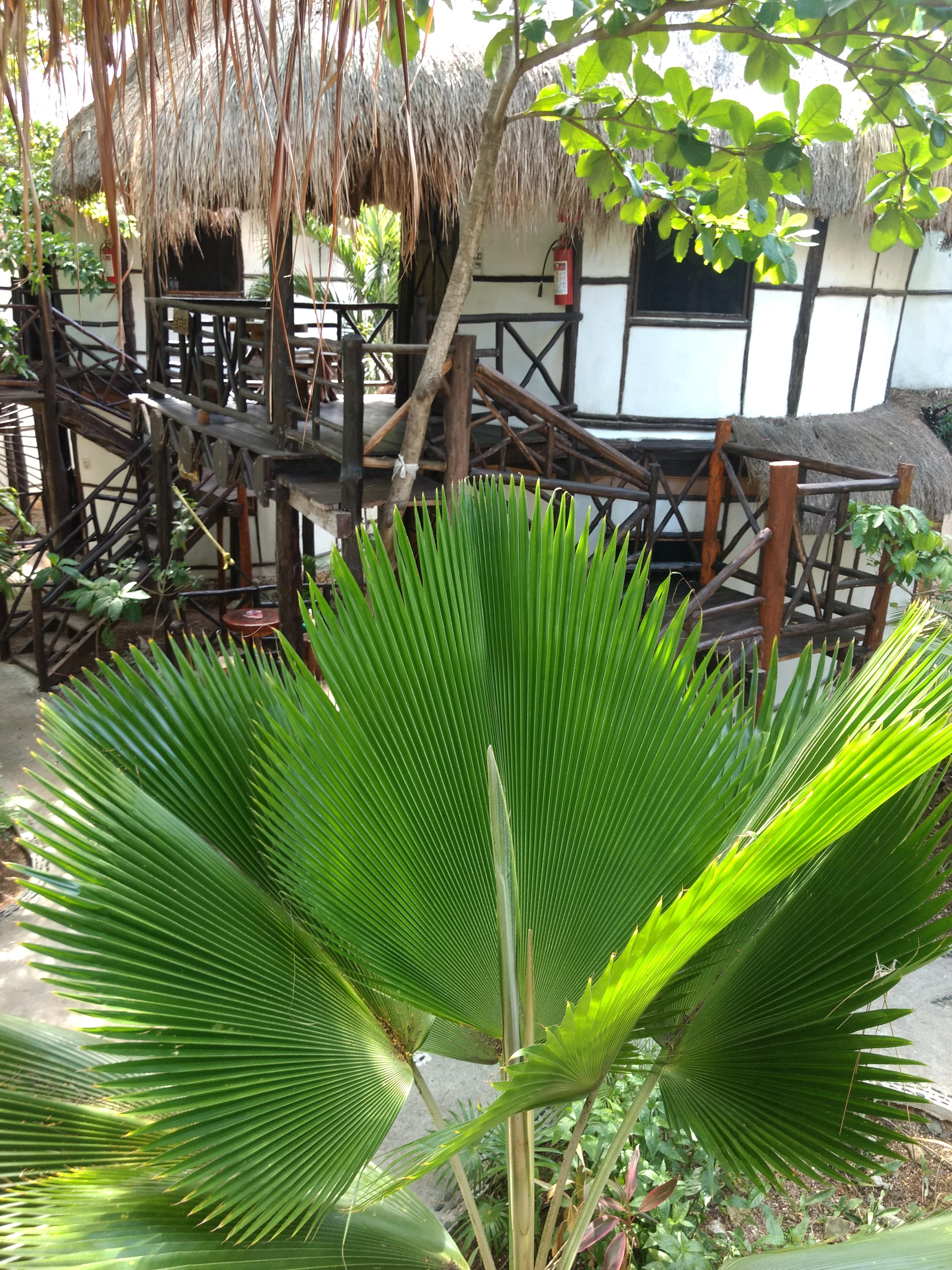Green Tulum Cabanas & Gardens Екстер'єр фото